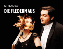 Die Fledermaus